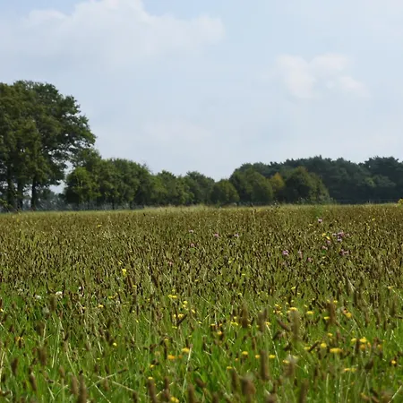 Pod 3 Persoons Lindershoeve *